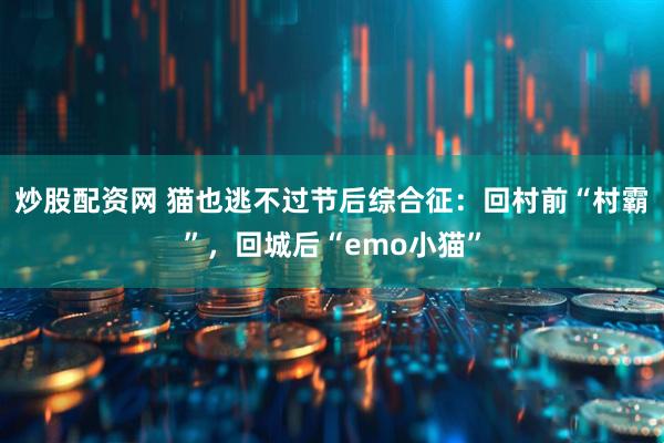 炒股配资网 猫也逃不过节后综合征:回村前“村霸”,回城后“emo小猫”